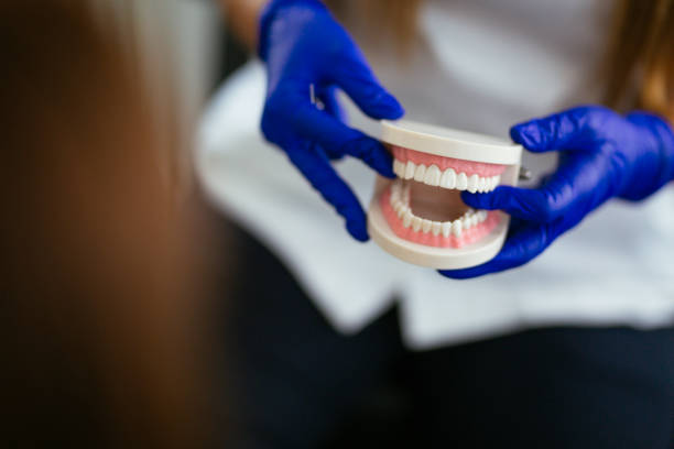 Professional Dental Services in Wink, TX